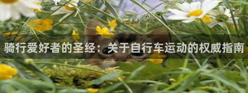 尊龙凯时-人生就是博中国|骑行爱好者的圣经:关于自行车运动的权威指南(图1) 尊龙凯时-人生就是博中国