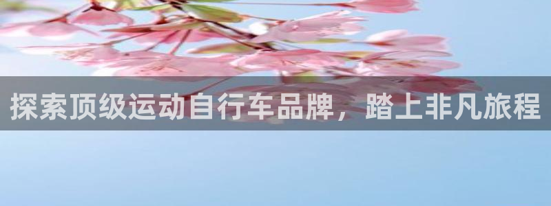 尊龙凯时平台|探索顶级运动自行车品牌,踏上非凡旅程(图1) 尊龙凯时平台