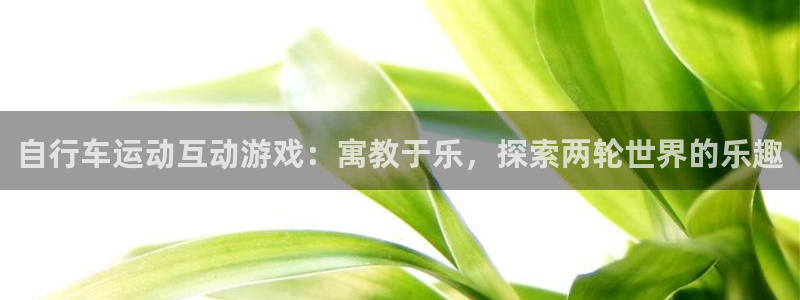 尊龙凯时d3563|自行车运动互动游戏:寓教于乐,探索两轮世界的乐趣(图1) 尊龙凯时d3563
