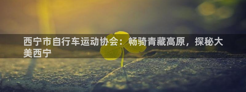 尊龙凯时人生|西宁市自行车运动协会:畅骑青藏高原,探秘大
美西宁(图1) 尊龙凯时人生