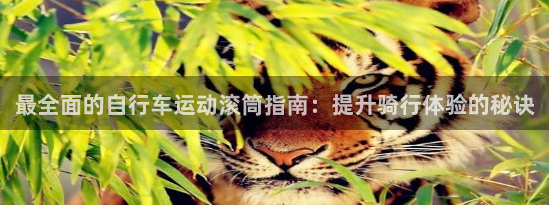 尊龙是哪里人|最全面的自行车运动滚筒指南:提升骑行体验的秘诀(图1) 尊龙是哪里人