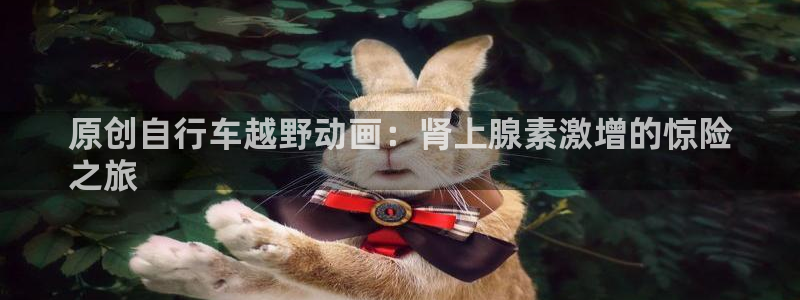 尊龙会|原创自行车越野动画:肾上腺素激增的惊险
之旅(图1) 尊龙会