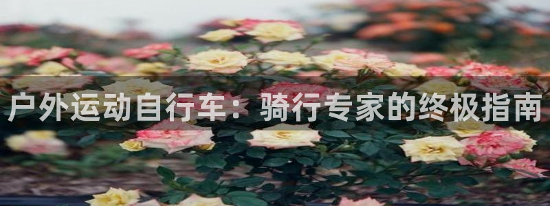 尊龙凯时-人生就是博中国|户外运动自行车:骑行专家的终极指南(图1) 尊龙凯时-人生就是博中国