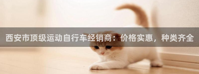 尊龙凯时人生就是博平台网站|西安市顶级运动自行车经销商:价格实惠,种类齐全(图1) 尊龙凯时人生就是博平台网站