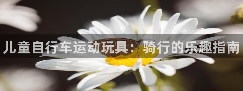 z6com尊龙凯时|儿童自行车运动玩具:骑行的乐趣指南(图1) z6com尊龙凯时