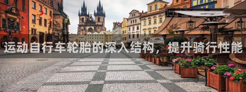 尊龙凯时人生就是博·(中国)官网|运动自行车轮胎的深入结构,提升骑行性能(图1) 尊龙凯时人生就是博·(中国)官网