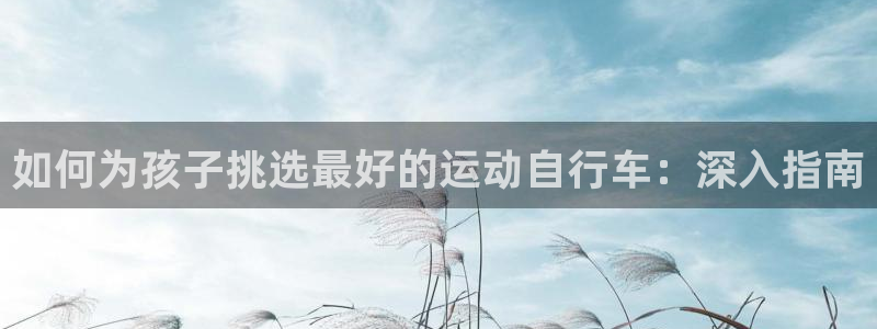ag尊龙凯时人生就是博|如何为孩子挑选最好的运动自行车:深入指南(图1) ag尊龙凯时人生就是博