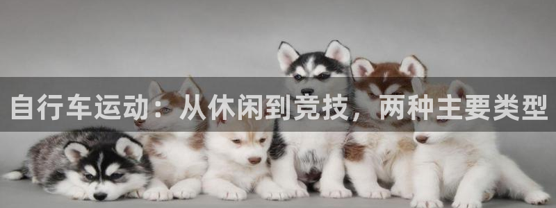 尊龙凯时最新网址|自行车运动:从休闲到竞技,两种主要类型(图1) 尊龙凯时最新网址