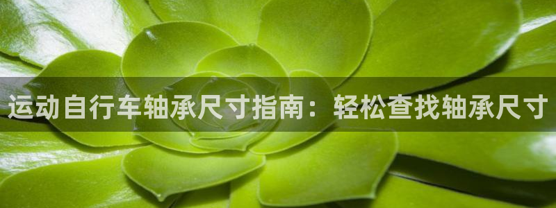 尊龙凯时官网|运动自行车轴承尺寸指南:轻松查找轴承尺寸(图1) 尊龙凯时官网