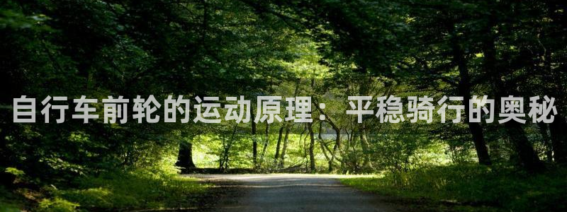 尊龙凯时平台|自行车前轮的运动原理:平稳骑行的奥秘(图1) 尊龙凯时平台