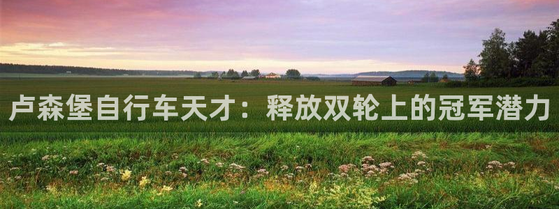 新版尊龙|卢森堡自行车天才:释放双轮上的冠军潜力(图1) 新版尊龙