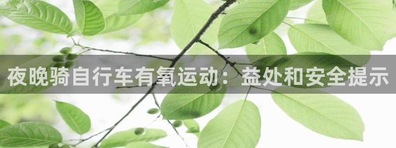 尊龙凯时人生就是博|夜晚骑自行车有氧运动:益处和安全提示(图1) 尊龙凯时人生就是博