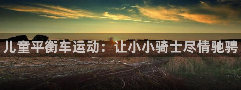 凯时尊龙官网网址|儿童平衡车运动:让小小骑士尽情驰骋(图1) 凯时尊龙官网网址