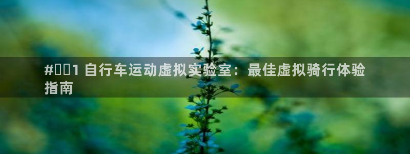 人生就是博-尊龙凯时|#️⃣1 自行车运动虚拟实验室:最佳虚拟骑行体验
指南(图1) 人生就是博-尊龙凯时